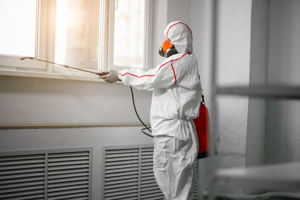 Professional mold remediation services in Elgin, TX
